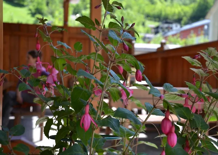 Roitner بيت ضيافة