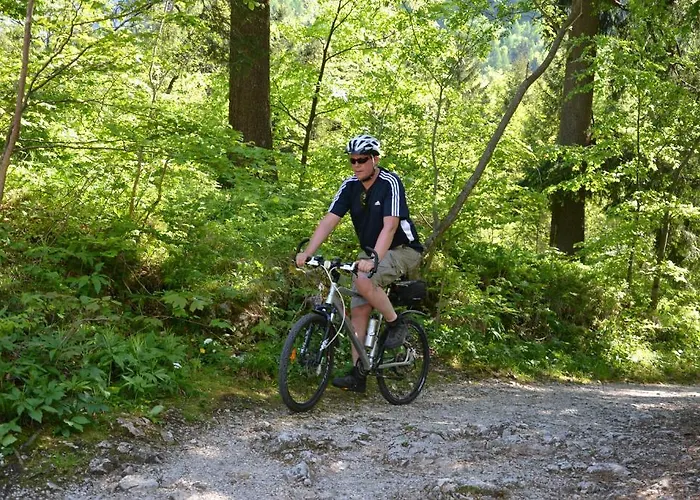 Roitner Vendégház Ebensee